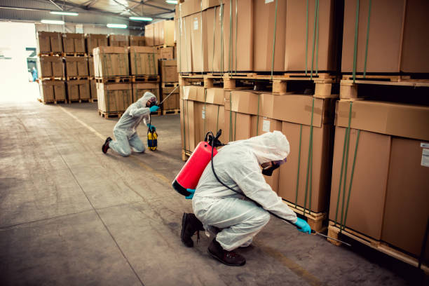 Best Affordable Pest Control Services  in Evergreen, CO