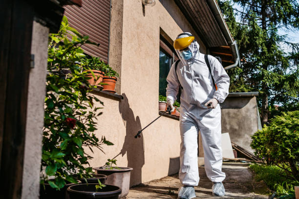 Best Affordable Pest Control Services  in Evergreen, CO