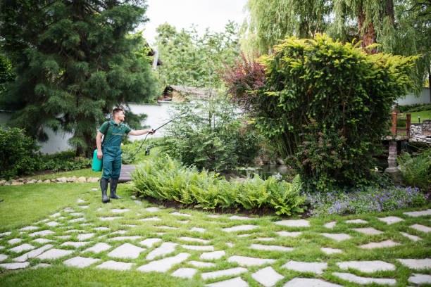 Best Cockroach Control Services  in Evergreen, CO