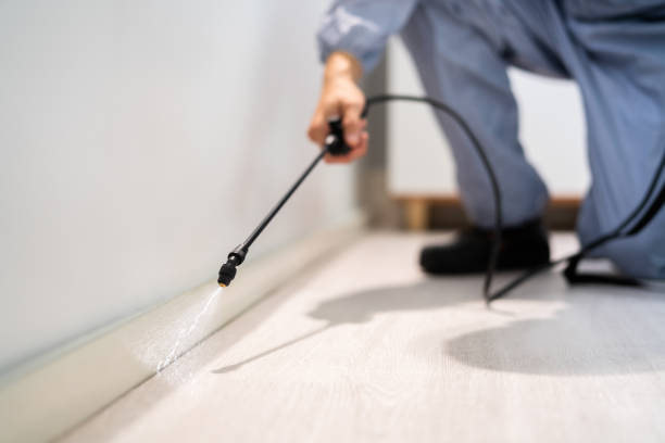Pest Control for Restaurants in Evergreen, CO