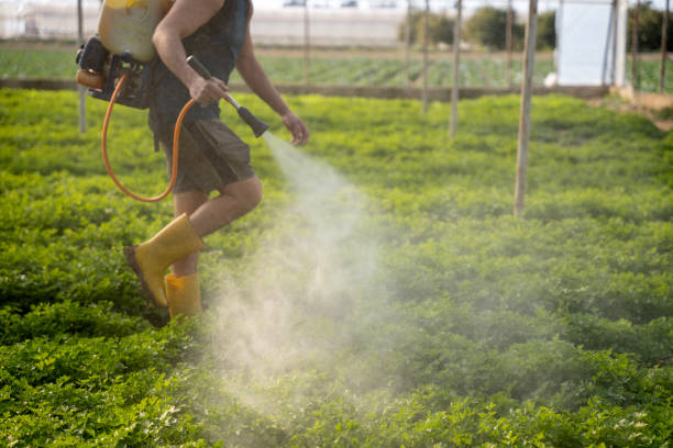 Best Best Pest Control Near Me  in Evergreen, CO