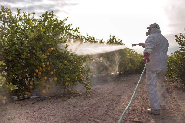 Best Wildlife Control Services  in Evergreen, CO