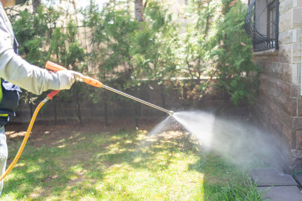 Best Wasp Removal Services  in Evergreen, CO