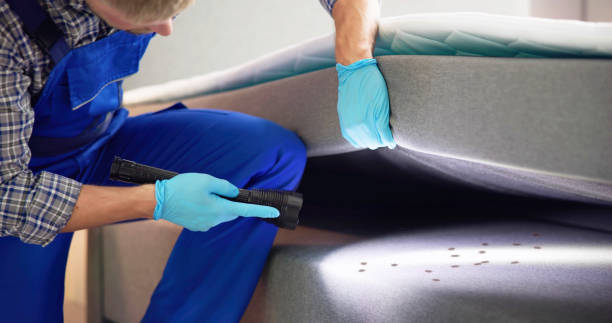 Best Pest Control Near Me in Evergreen, CO