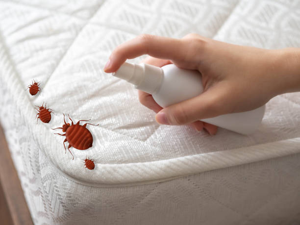 Best Best Pest Control Companies  in Evergreen, CO