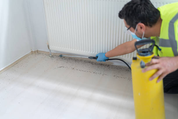 Best Pest Control Cost  in Evergreen, CO