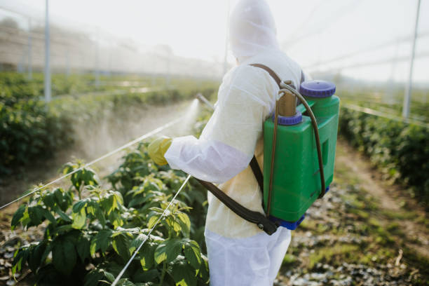  Evergreen, CO Pest Control Pros